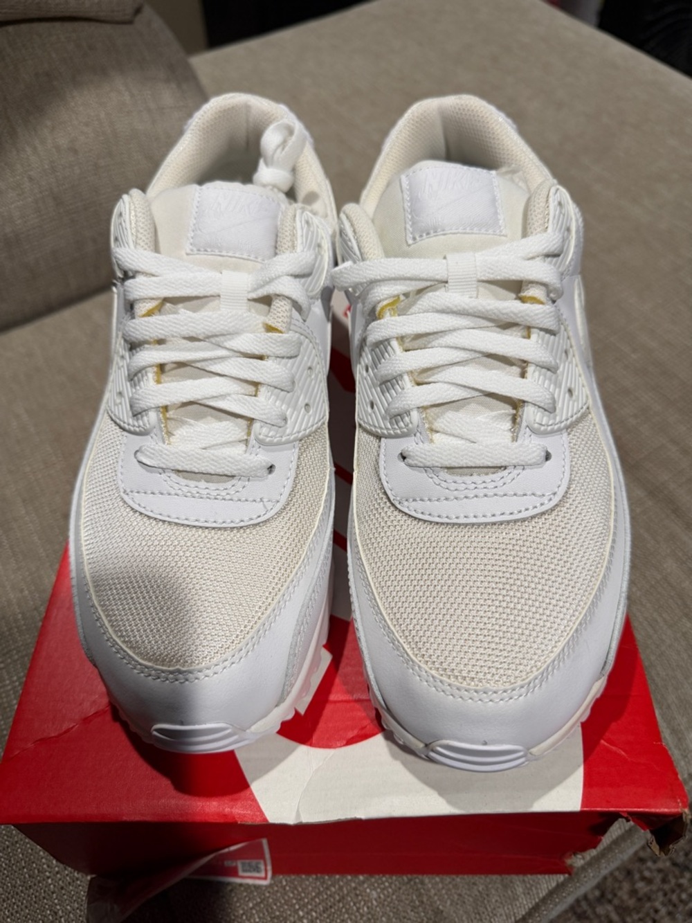 Nike Men’s Air Max 90
